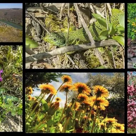 شقة Heimes كلوتن