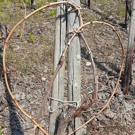 Heimes شقة كلوتن