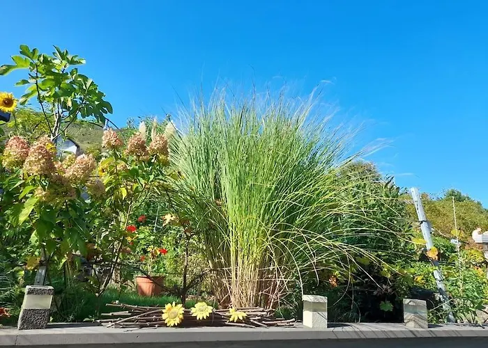 Heimes Apartment Klotten