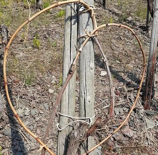 Heimes Apartment Klotten